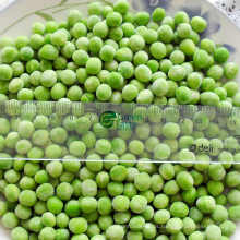 Alta calidad IQF congelado guisantes verdes